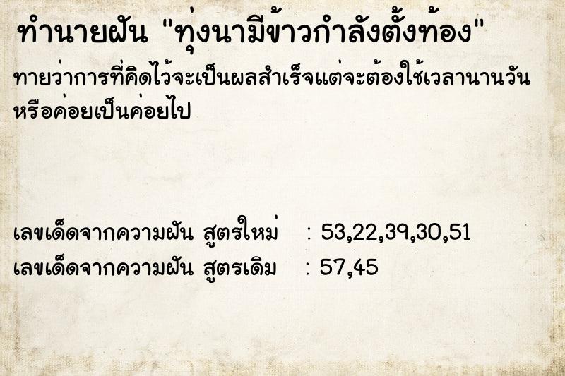 ทำนายฝัน ทุ่งนามีข้าวกำลังตั้งท้อง