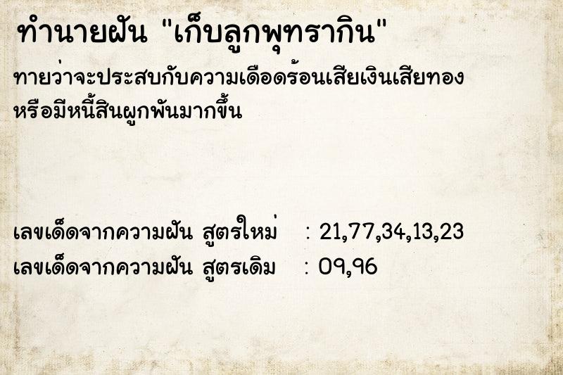 ทำนายฝัน เก็บลูกพุทรากิน