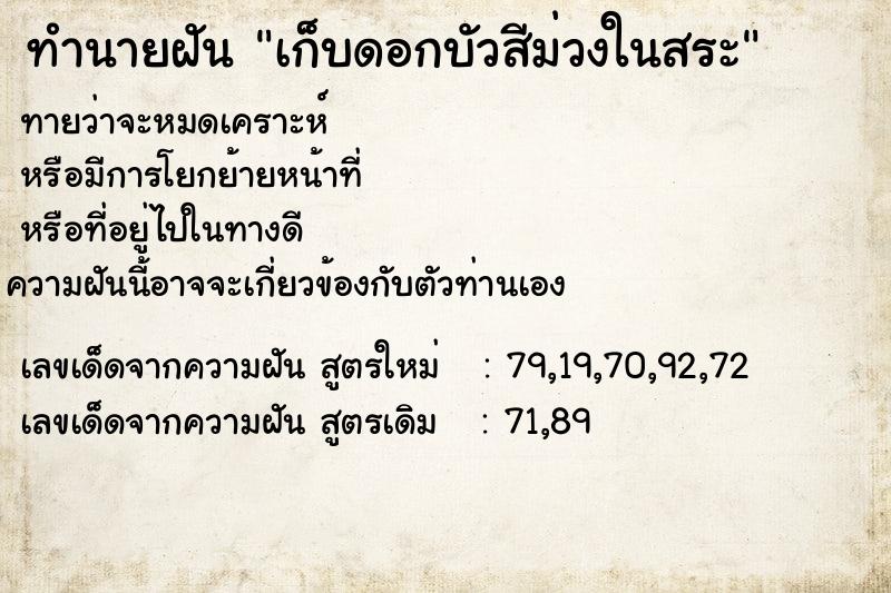 ทำนายฝัน เก็บดอกบัวสีม่วงในสระ  เลขนำโชค 