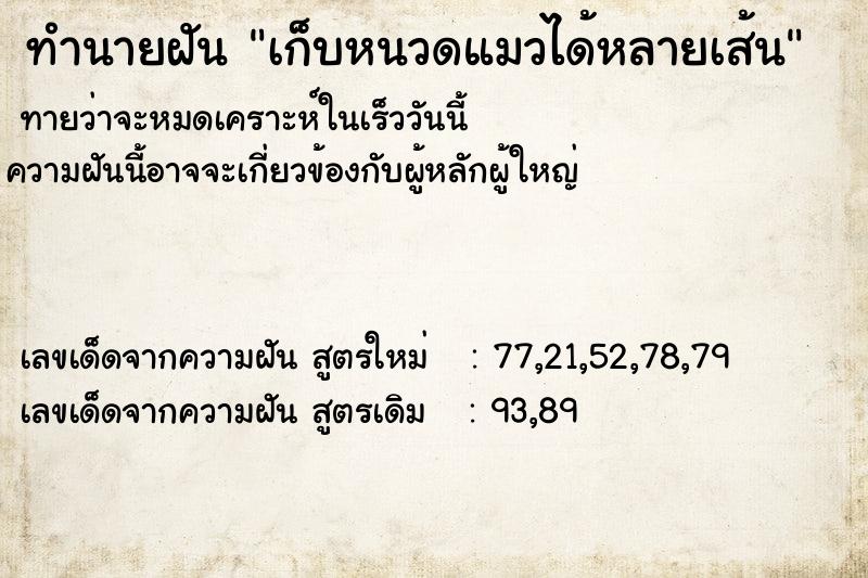 ทำนายฝัน เก็บหนวดแมวได้หลายเส้น