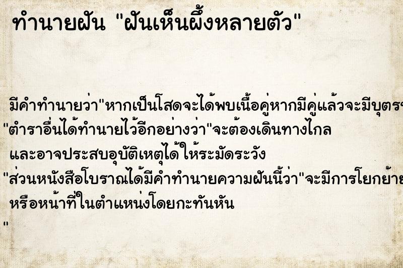 ทำนายฝัน ฝันเห็นผึ้งหลายตัว