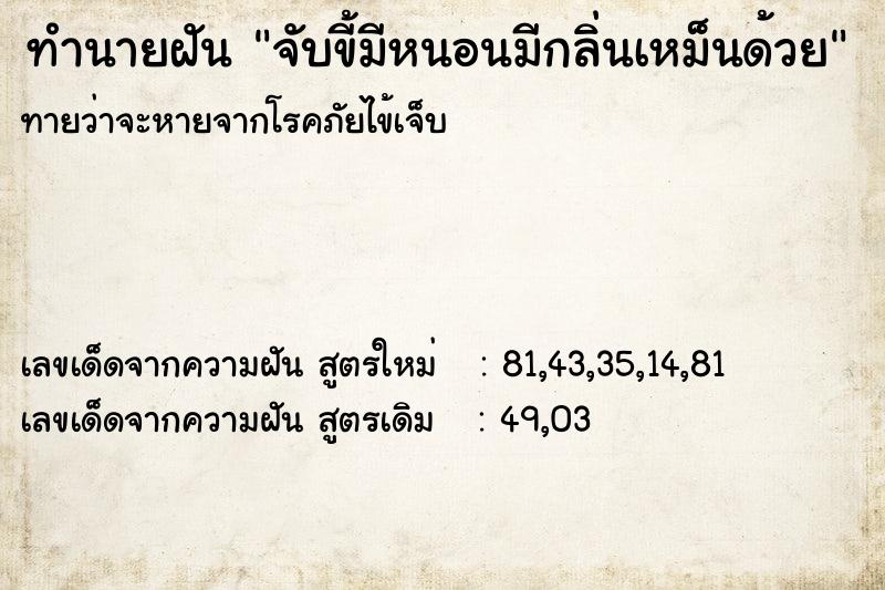 ทำนายฝัน จับขี้มีหนอนมีกลิ่นเหม็นด้วย