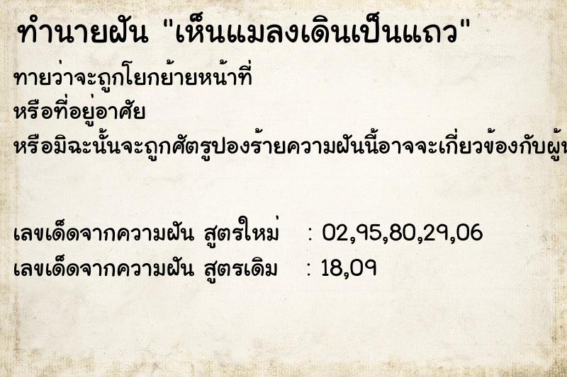 ทำนายฝัน เห็นแมลงเดินเป็นแถว