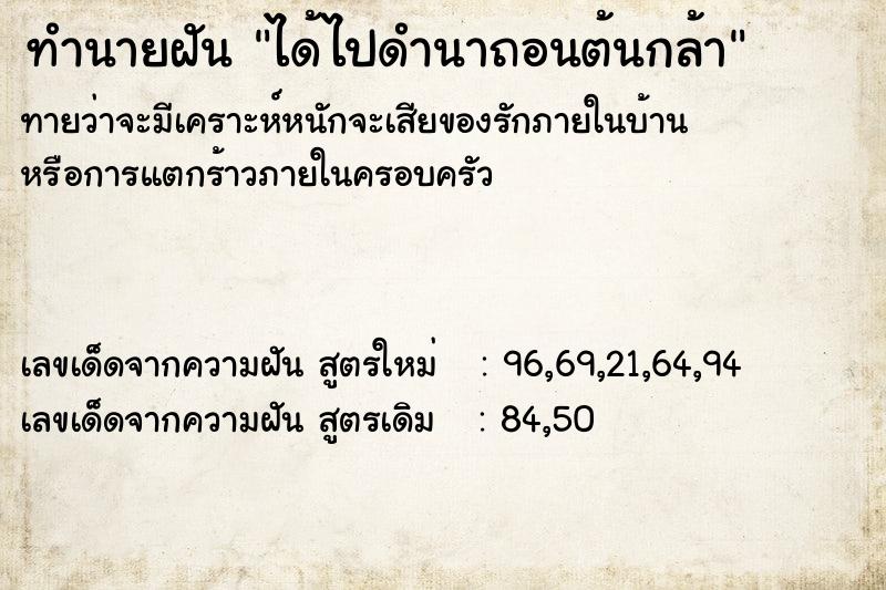 ทำนายฝัน ได้ไปดำนาถอนต้นกล้า