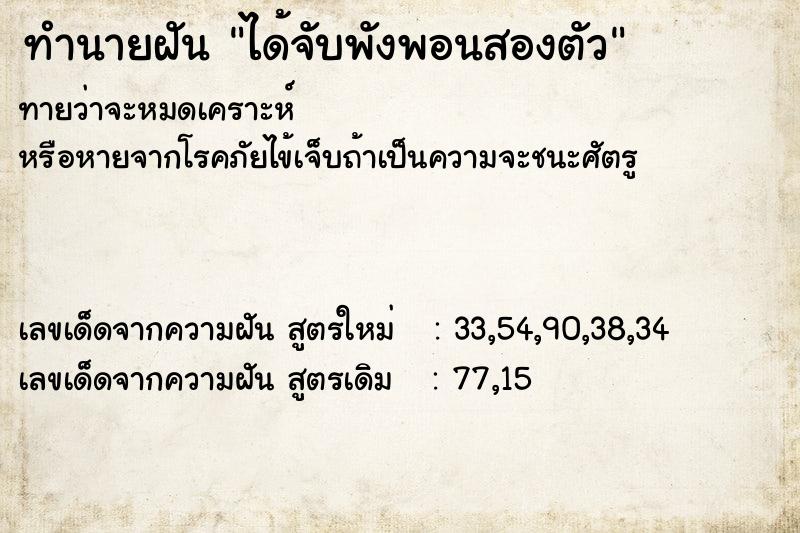 ทำนายฝัน ได้จับพังพอนสองตัว