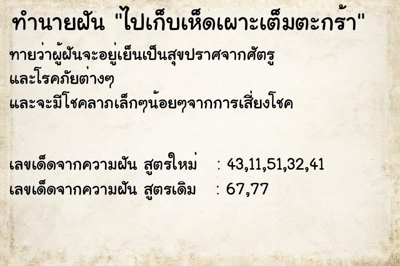 ทำนายฝัน ไปเก็บเห็ดเผาะเต็มตะกร้า