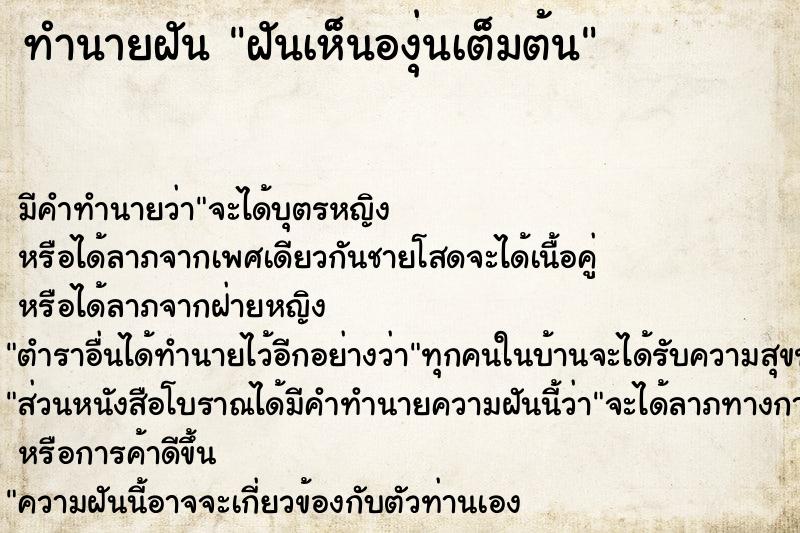 ทำนายฝัน ฝันเห็นองุ่นเต็มต้น