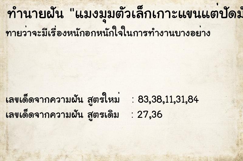 ทำนายฝัน แมงมุมตัวเล็กเกาะแขนแต่ปัดมันออก