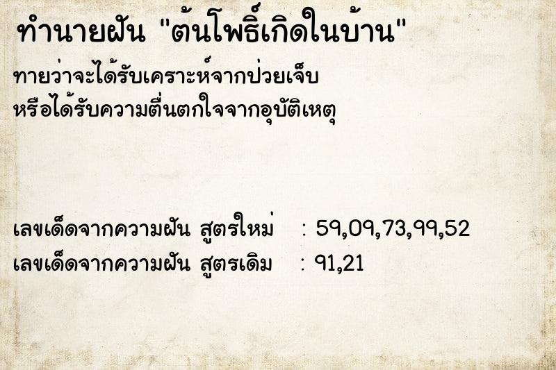 ทำนายฝัน ต้นโพธิ์เกิดในบ้าน