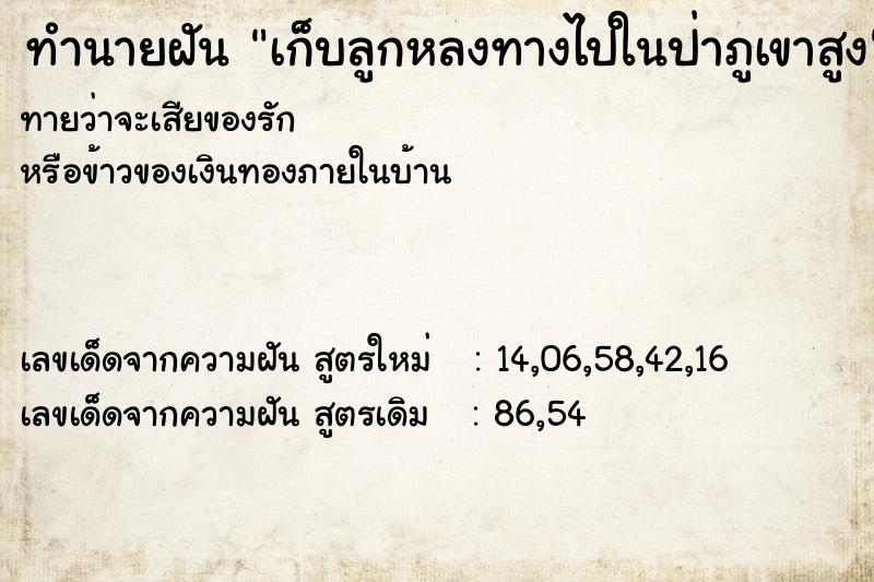 ทำนายฝัน เก็บลูกหลงทางไปในป่าภูเขาสูง