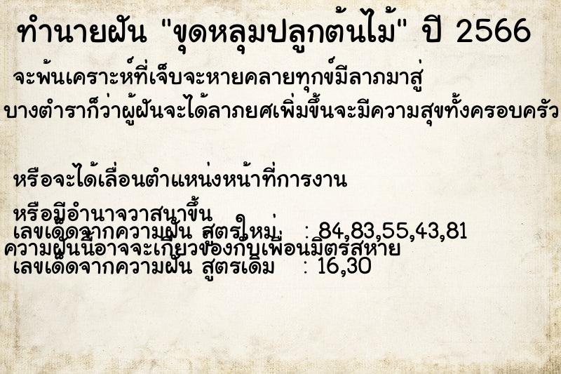 ทำนายฝัน ขุดหลุมปลูกต้นไม้  เลขนำโชค 