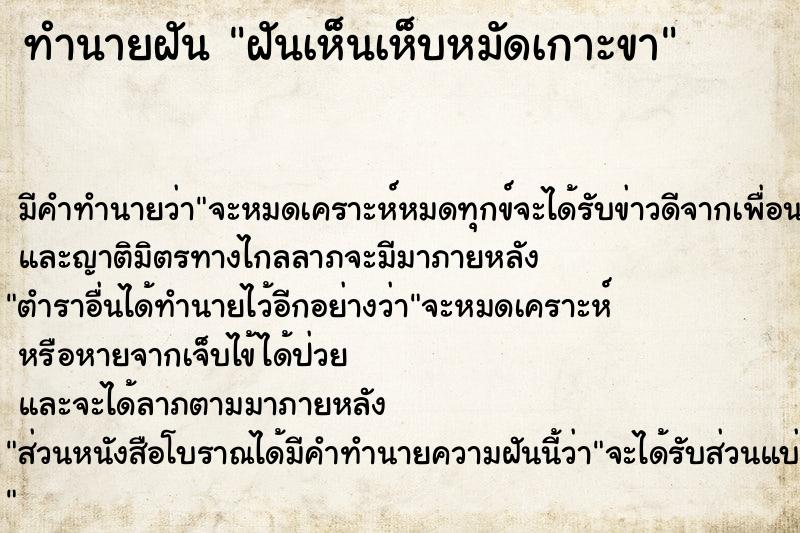 ทำนายฝัน ฝันเห็นเห็บหมัดเกาะขา