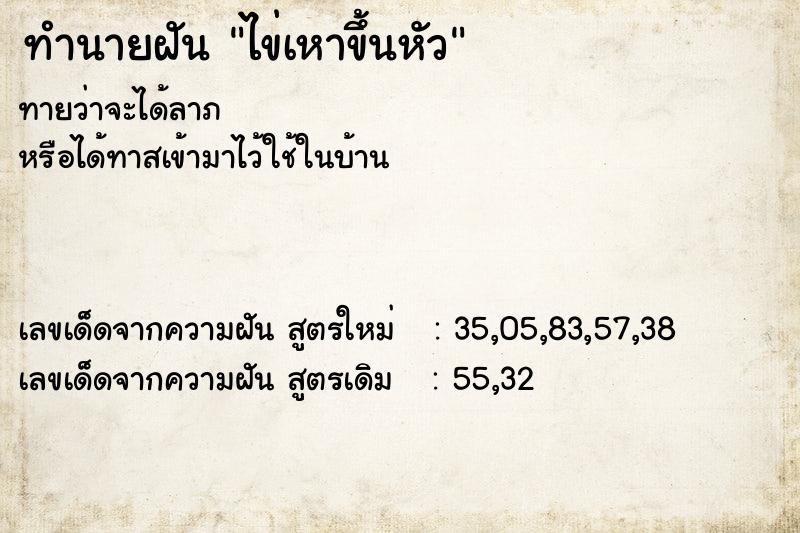 ทำนายฝัน ไข่เหาขึ้นหัว