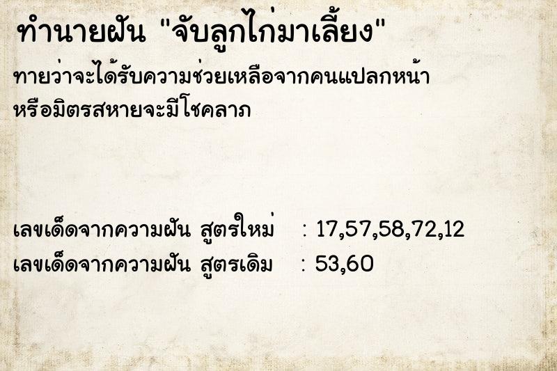 ทำนายฝัน จับลูกไก่มาเลี้ยง