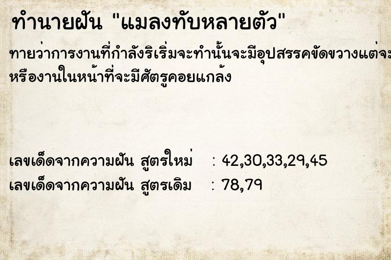 ทำนายฝัน แมลงทับหลายตัว