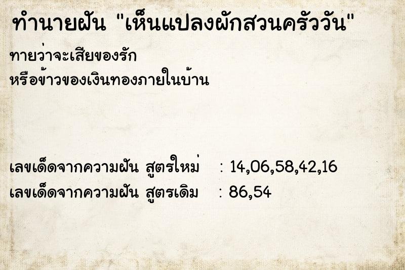 ทำนายฝัน เห็นแปลงผักสวนครัววัน