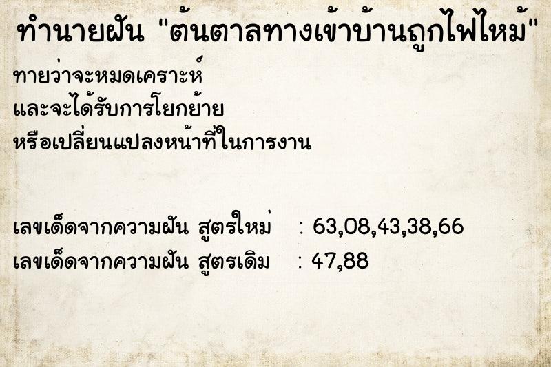 ทำนายฝัน ต้นตาลทางเข้าบ้านถูกไฟไหม้  เลขนำโชค 