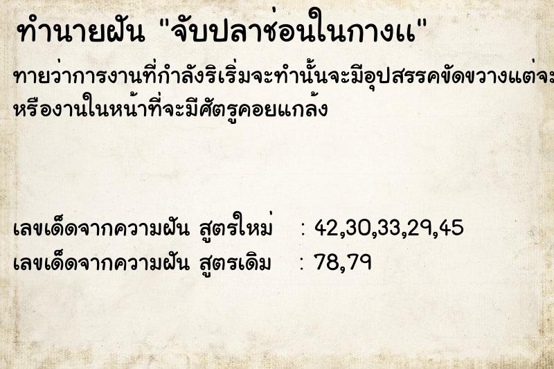 ทำนายฝัน จับปลาช่อนในกางเà