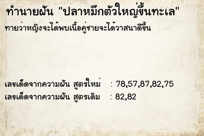 ทำนายฝัน ปลาหมึกตัวใหญ่ขึ้นทะเล ตำราโบราณ แม่นที่สุดในโลก