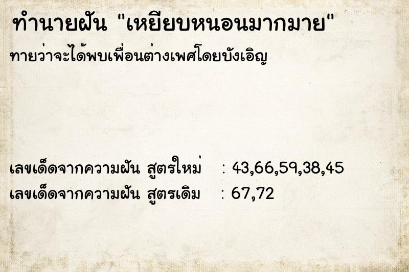 ทำนายฝัน เหยียบหนอนมากมาย  เลขนำโชค 