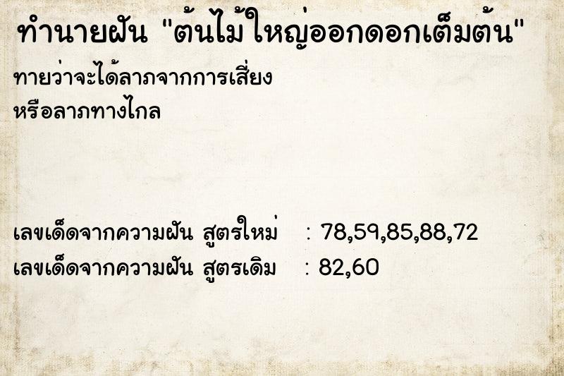 ทำนายฝัน ต้นไม้ใหญ่ออกดอกเต็มต้น