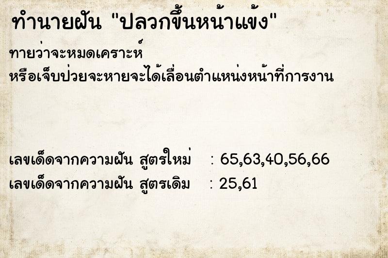 ทำนายฝัน ปลวกขึ้นหน้าแข้ง