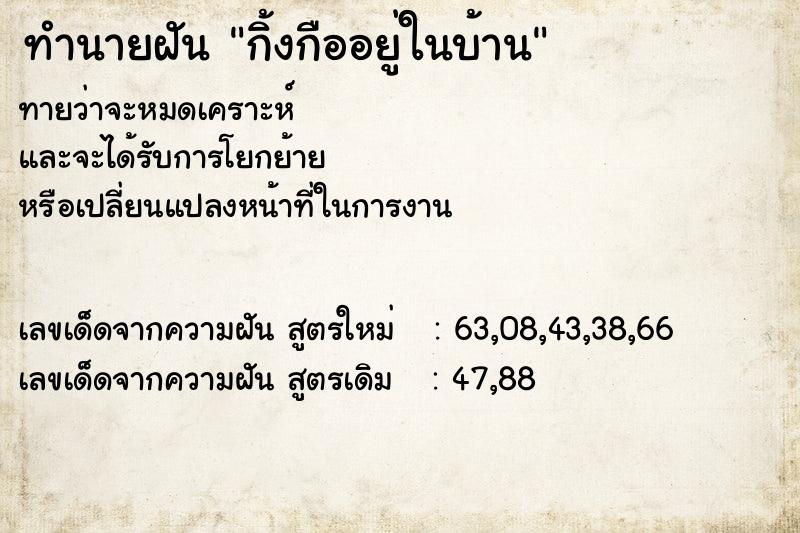 ทำนายฝัน กิ้งกืออยู่ในบ้าน