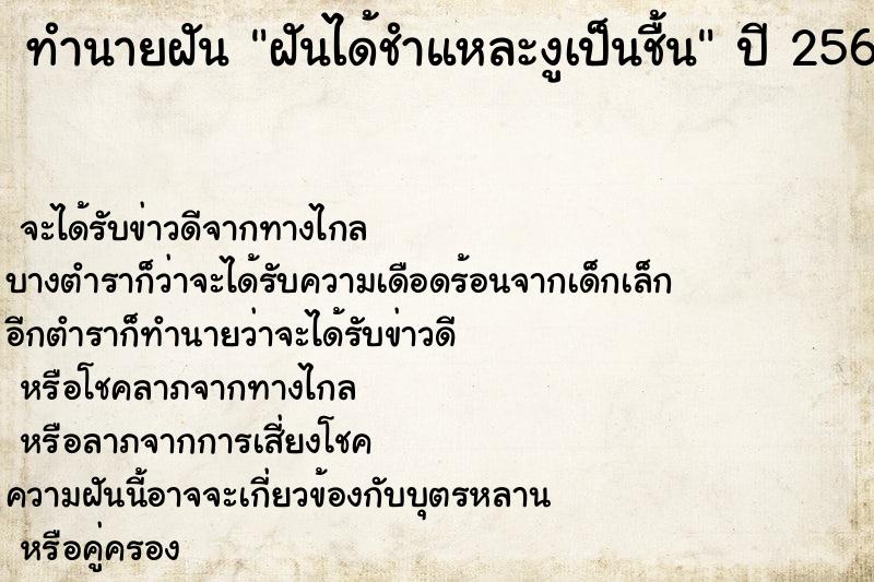 ทำนายฝัน ฝันได้ชำแหละงูเป็นชื้น