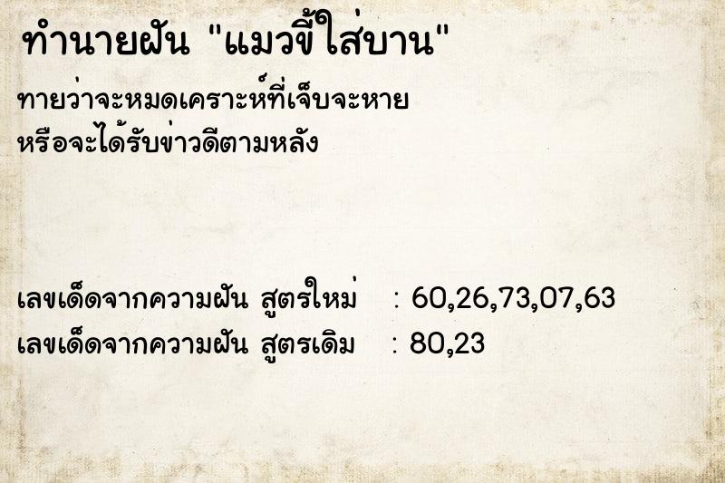 ทำนายฝัน แมวขี้ใส่บาน