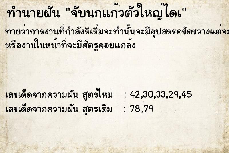 ทำนายฝัน จับนกแก้วตัวใหญ่ไดà