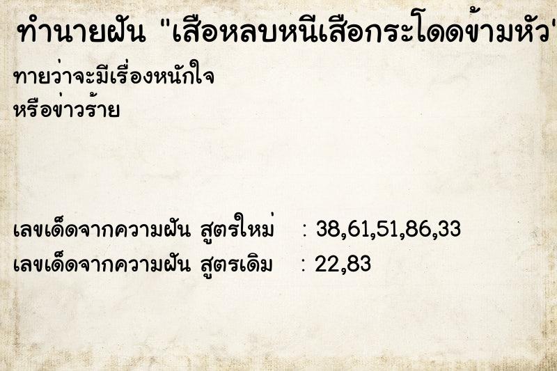 ทำนายฝัน เสือหลบหนีเสือกระโดดข้ามหัว