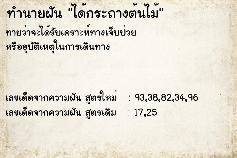 ทำนายฝัน ได้กระถางต้นไม้