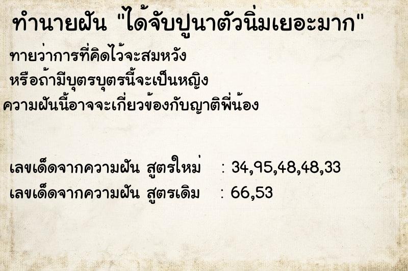 ทำนายฝัน ได้จับปูนาตัวนิ่มเยอะมาก