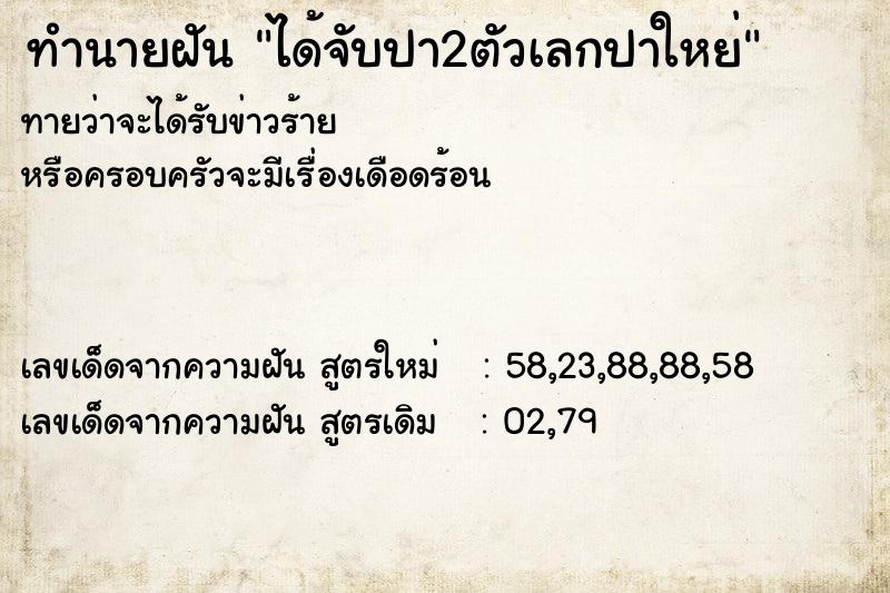 ทำนายฝัน ได้จับปา2ตัวเลกปาใหย่