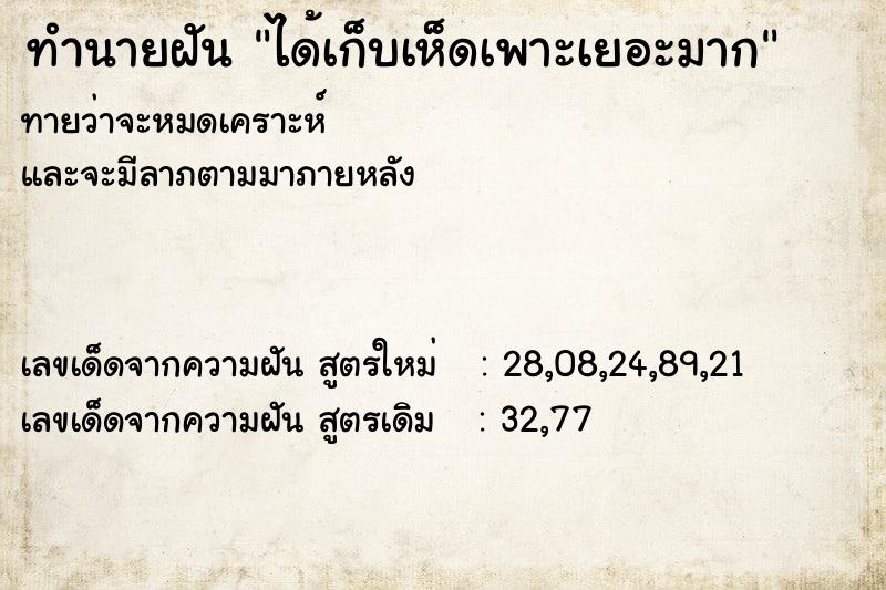 ทำนายฝัน ได้เก็บเห็ดเพาะเยอะมาก