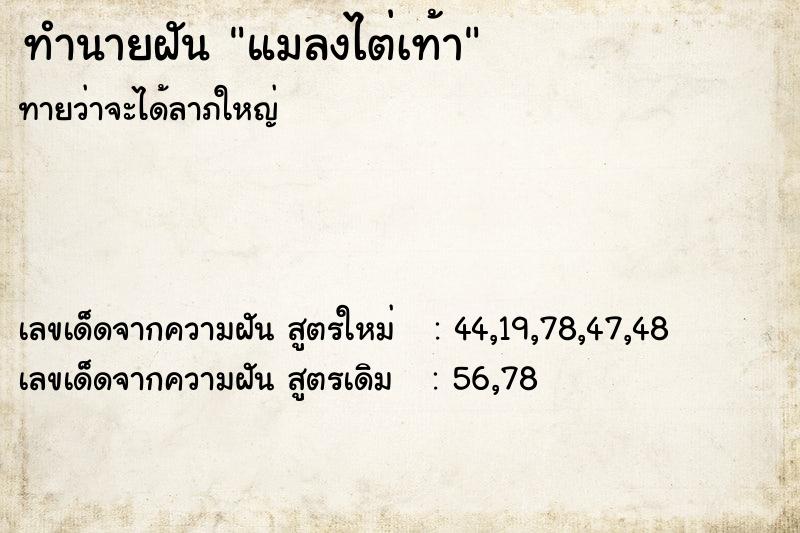 ทำนายฝัน แมลงไต่เท้า