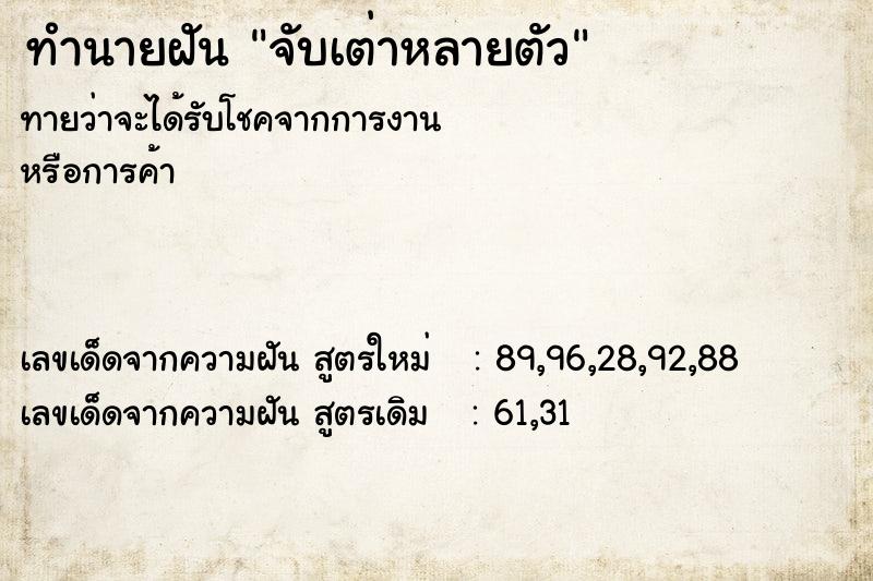 ทำนายฝัน จับเต่าหลายตัว