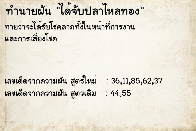 ทำนายฝัน ได้จับปลาไหลทอง