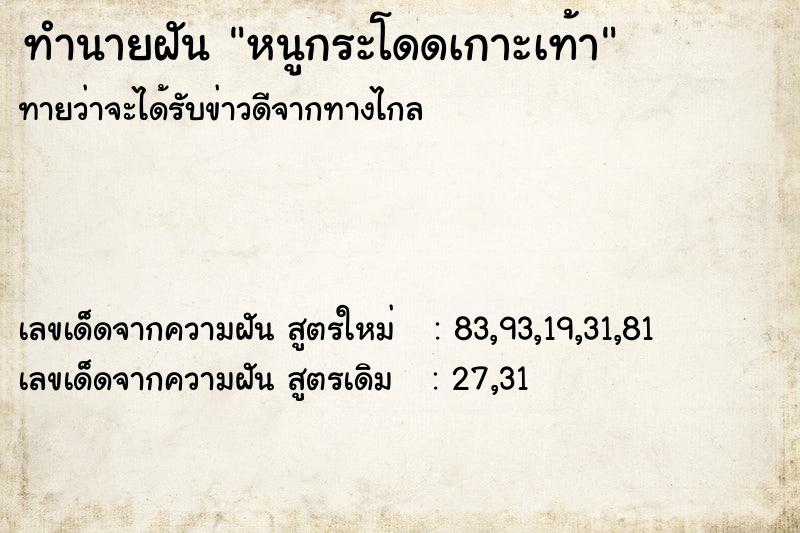 ทำนายฝัน หนูกระโดดเกาะเท้า