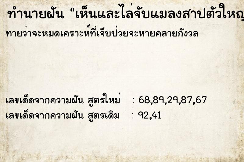 ทำนายฝัน เห็นและไล่จับแมลงสาปตัวใหญ่