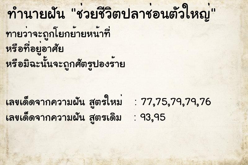 ทำนายฝัน ช่วยชีวิตปลาช่อนตัวใหญ่  เลขนำโชค 