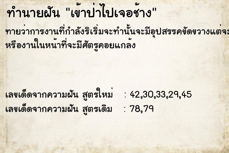 ทำนายฝัน เข้าป่าไปเจอช้าง