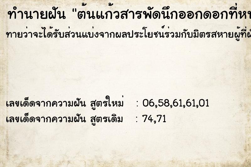 ทำนายฝัน ต้นแก้วสารพัดนึกออกดอกที่หน้าบ้านสองดอก  เลขนำโชค 