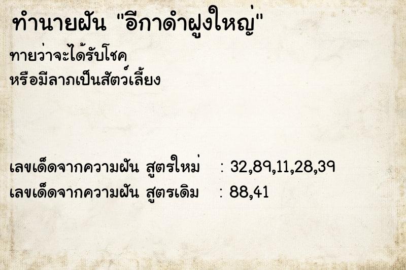 ทำนายฝัน อีกาดำฝูงใหญ่