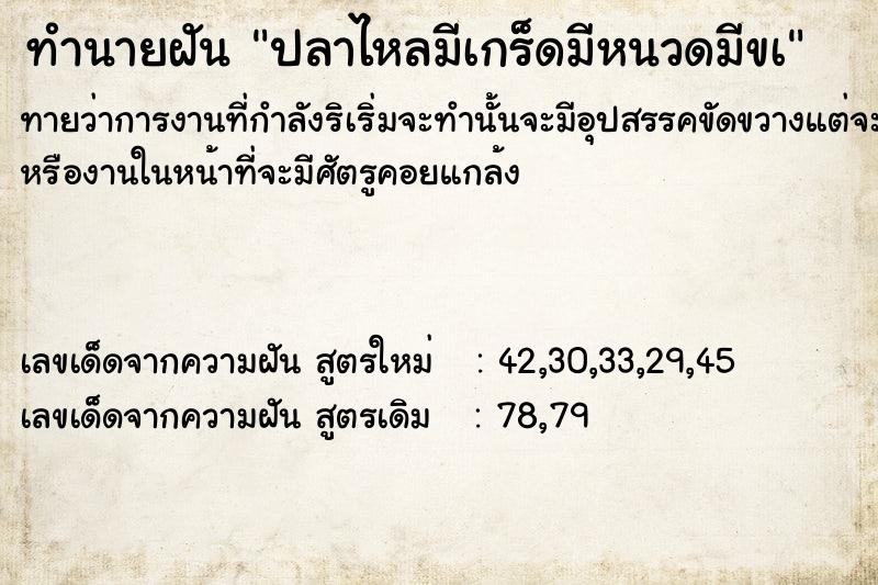 ทำนายฝัน ปลาไหลมีเกร็ดมีหนวดมีขà