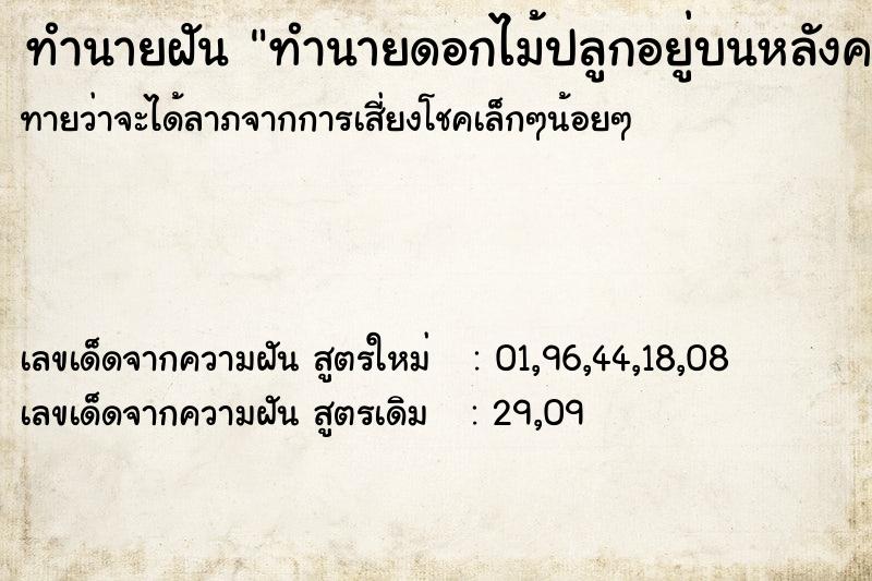 ทำนายฝัน ทำนายดอกไม้ปลูกอยู่บนหลังคาบ้าน