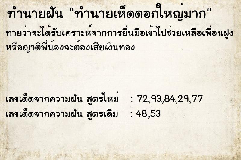 ทำนายฝัน ทำนายเห็ดดอกใหญ่มาก