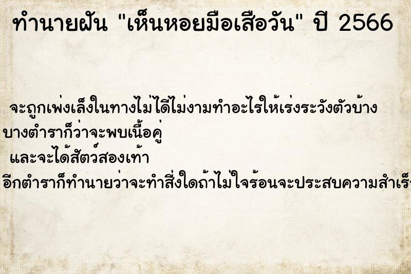 ทำนายฝัน เห็นหอยมือเสือวัน