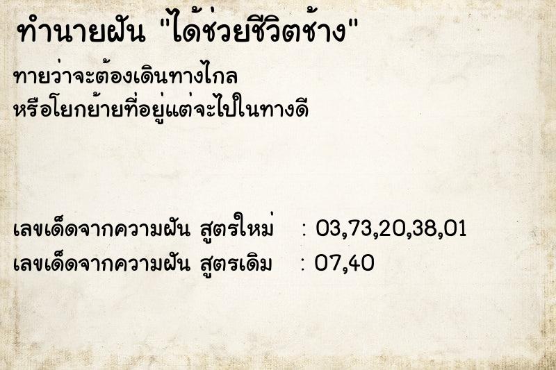 ทำนายฝัน ได้ช่วยชีวิตช้าง