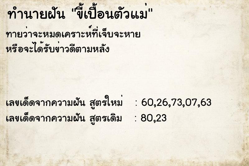 ทำนายฝัน ขี้เปื้อนตัวแม่